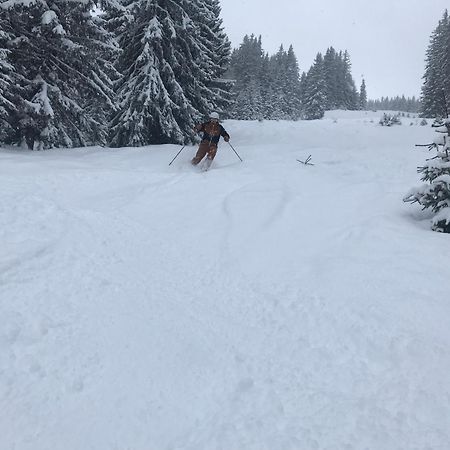 Apartament Alpendomizil Pia Mühlbach am Hochkönig Zewnętrze zdjęcie